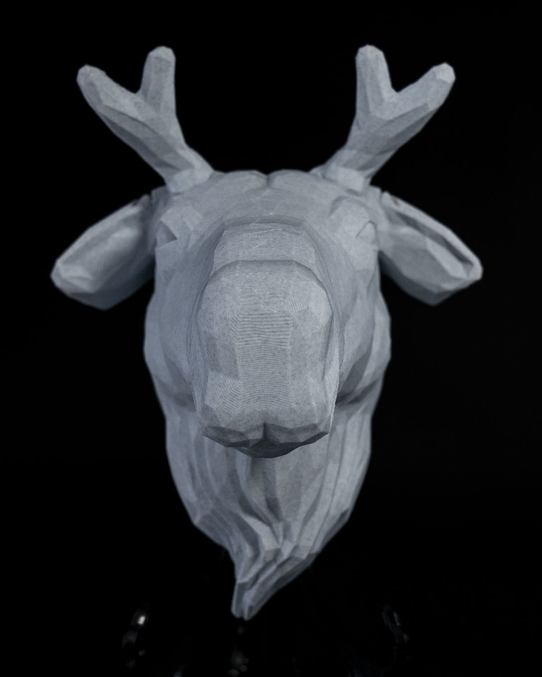 gavazn 1